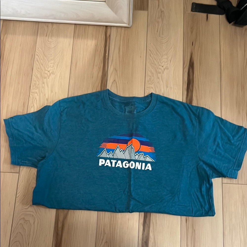 Patagonia Cotton T-shirt
